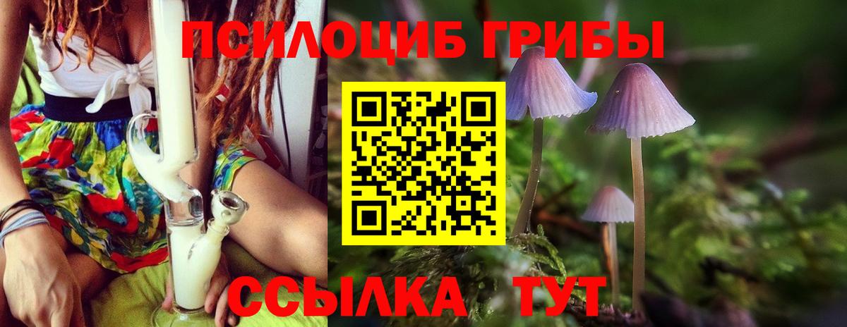Владимир  Галлюциногенные грибы MAGIC MUSHROOMS  Вход с VPN 